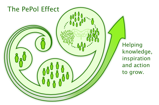 the pepol effect diagram